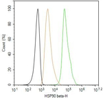 HSP90 beta Antibody in Flow Cytometry (Flow)