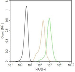 H-Ras Antibody in Flow Cytometry (Flow)
