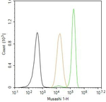 MSI1 Antibody in Flow Cytometry (Flow)