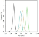 PRAS40 Antibody in Flow Cytometry (Flow)