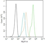 MNAR Antibody in Flow Cytometry (Flow)