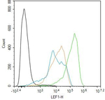 LEF1 Antibody in Flow Cytometry (Flow)
