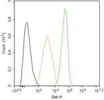 BAK Antibody in Flow Cytometry (Flow)