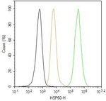 HSP60 Antibody in Flow Cytometry (Flow)