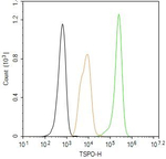 TSPO Antibody in Flow Cytometry (Flow)