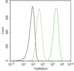 TOMM20 Antibody in Flow Cytometry (Flow)