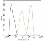 HK1 Antibody in Flow Cytometry (Flow)