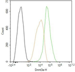 DNMT3A Antibody in Flow Cytometry (Flow)