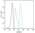 LIN28B Antibody in Flow Cytometry (Flow)