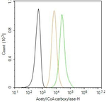 ACACA/ACACB Antibody in Flow Cytometry (Flow)