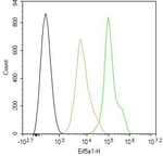eIF5A Antibody in Flow Cytometry (Flow)