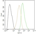 SCF Antibody in Flow Cytometry (Flow)