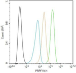 PRP19 Antibody in Flow Cytometry (Flow)