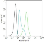MAD2L1BP Antibody in Flow Cytometry (Flow)