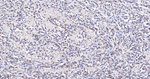MAD2L1BP Antibody in Immunohistochemistry (Paraffin) (IHC (P))