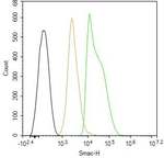 SMAC Antibody in Flow Cytometry (Flow)