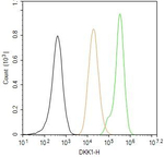 DKK1 Antibody in Flow Cytometry (Flow)