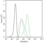 TNFAIP3 Antibody in Flow Cytometry (Flow)