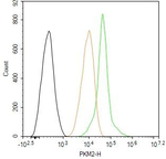 PKM2 Antibody in Flow Cytometry (Flow)