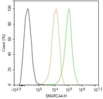 BRG1 Antibody in Flow Cytometry (Flow)