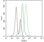 CD36 Antibody in Flow Cytometry (Flow)