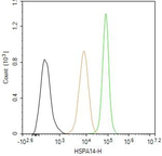 HSPA14 Antibody in Flow Cytometry (Flow)