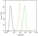 HSP105 Antibody in Flow Cytometry (Flow)