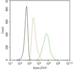 SUMO2/SUMO3 Antibody in Flow Cytometry (Flow)