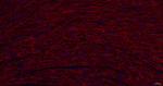 Caveolin 3 Recombinant Rabbit Monoclonal Antibody (8H3)