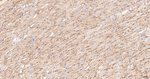 Caveolin 3 Antibody in Immunohistochemistry (Paraffin) (IHC (P))