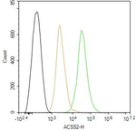 ACSS2 Antibody in Flow Cytometry (Flow)
