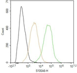 S100A6 Antibody in Flow Cytometry (Flow)