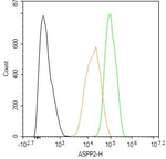 53BP2 Antibody in Flow Cytometry (Flow)