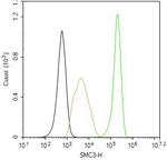 SMC3 Antibody in Flow Cytometry (Flow)