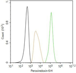 PRDX6 Antibody in Flow Cytometry (Flow)