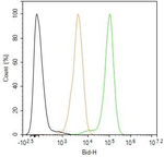 BID Antibody in Flow Cytometry (Flow)