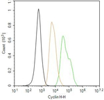 Cyclin H Antibody in Flow Cytometry (Flow)