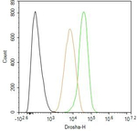 DROSHA Antibody in Flow Cytometry (Flow)