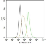 B7-H3 Antibody in Flow Cytometry (Flow)