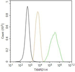 TrxR1 Antibody in Flow Cytometry (Flow)