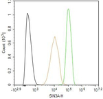 SIN3A Antibody in Flow Cytometry (Flow)