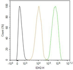 IDH2 Antibody in Flow Cytometry (Flow)