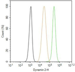 Dynamin 2 Antibody in Flow Cytometry (Flow)