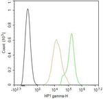 HP1 gamma Antibody in Flow Cytometry (Flow)