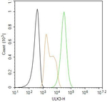 ULK3 Antibody in Flow Cytometry (Flow)