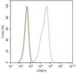 CD82 Antibody in Flow Cytometry (Flow)