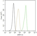 HPRT1 Antibody in Flow Cytometry (Flow)