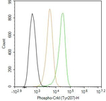 Phospho-CrkL (Tyr207) Antibody in Flow Cytometry (Flow)