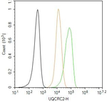UQCRC2 Antibody in Flow Cytometry (Flow)