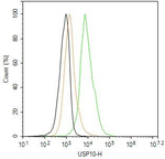 USP10 Antibody in Flow Cytometry (Flow)